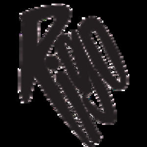 Meet your Posher, Rodrigo